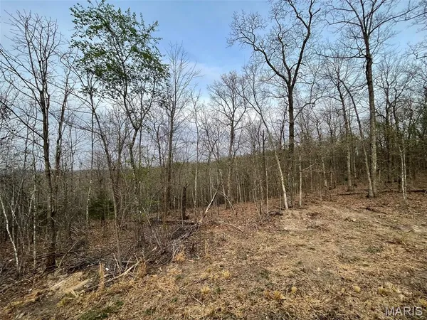 $99,900 | 0 Hwy Hh & N Marquand Mo 63655, Fredericktown, MO 63645