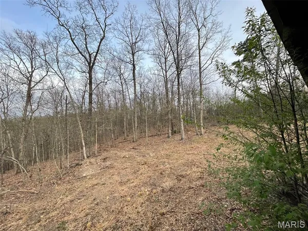 $99,900 | 0 Hwy Hh & N Marquand Mo 63655, Fredericktown, MO 63645