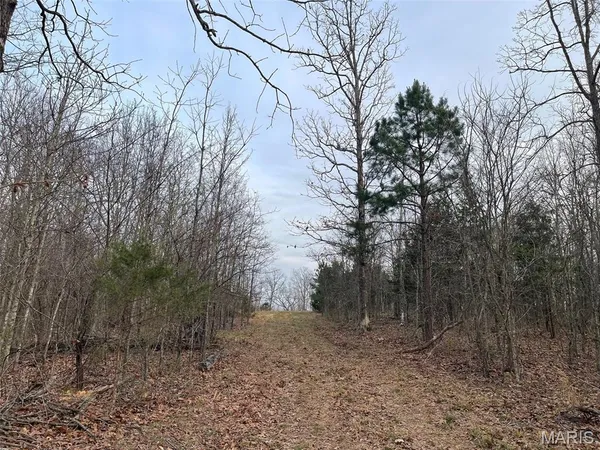 $99,900 | 0 Hwy Hh & N Marquand Mo 63655, Fredericktown, MO 63645