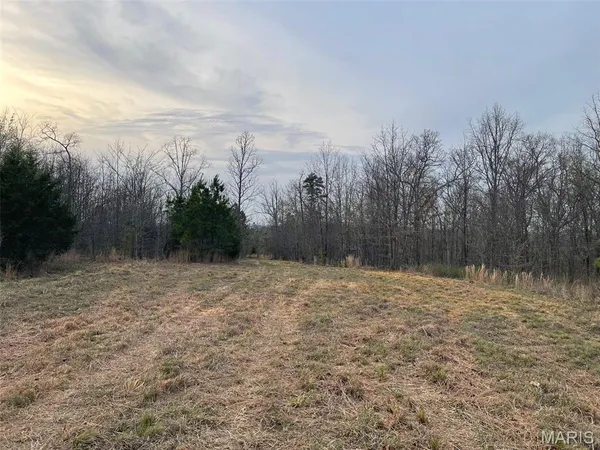$99,900 | 0 Hwy Hh & N Marquand Mo 63655, Fredericktown, MO 63645