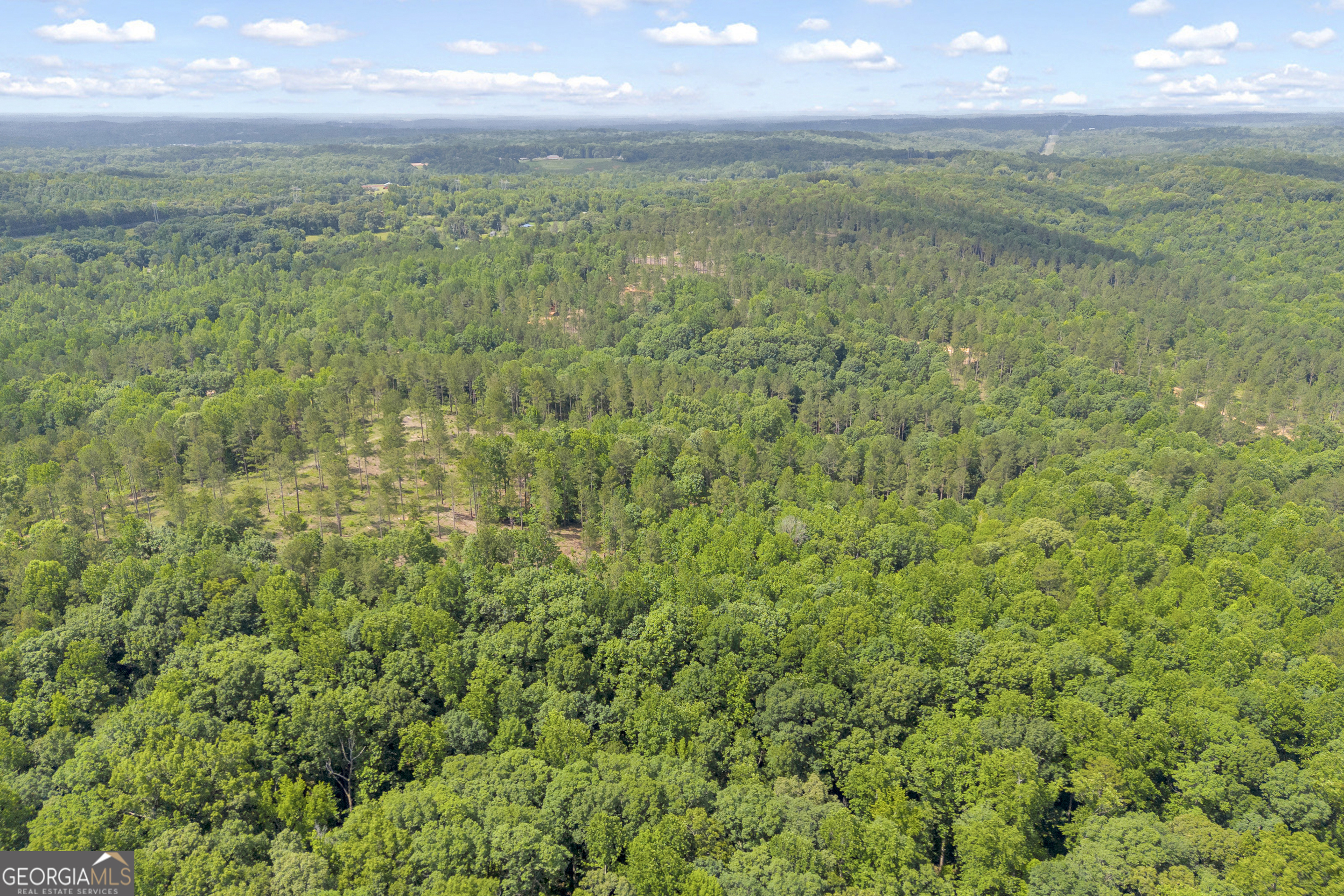 0 Mt Sinai Road, Unit LOT 1 Lula, GA 30554 - Photo 12 of 67