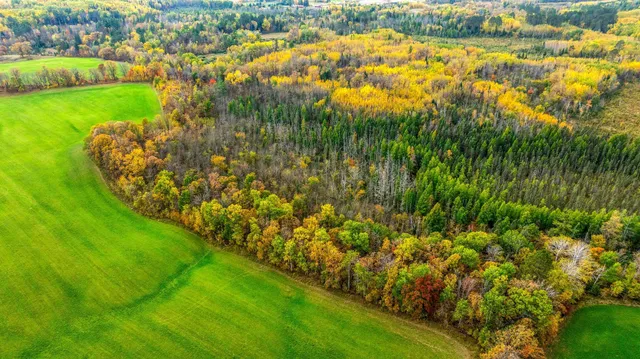 $120,000 | Tbd W Tbd W Debs, Shevlin, MN 56676