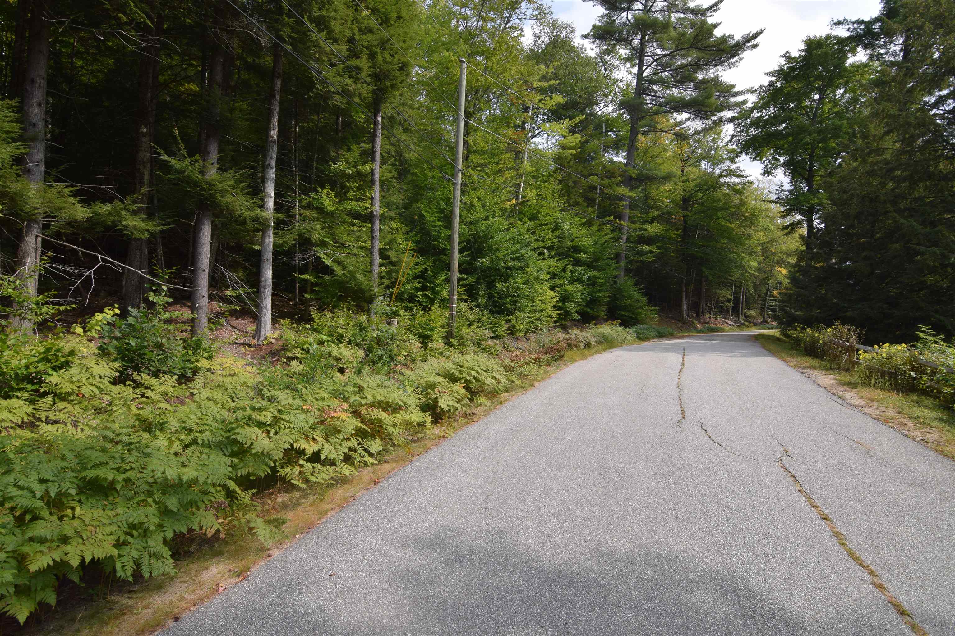 49-50 Treeline Road Thornton, NH 03285 - Photo 1 of 7