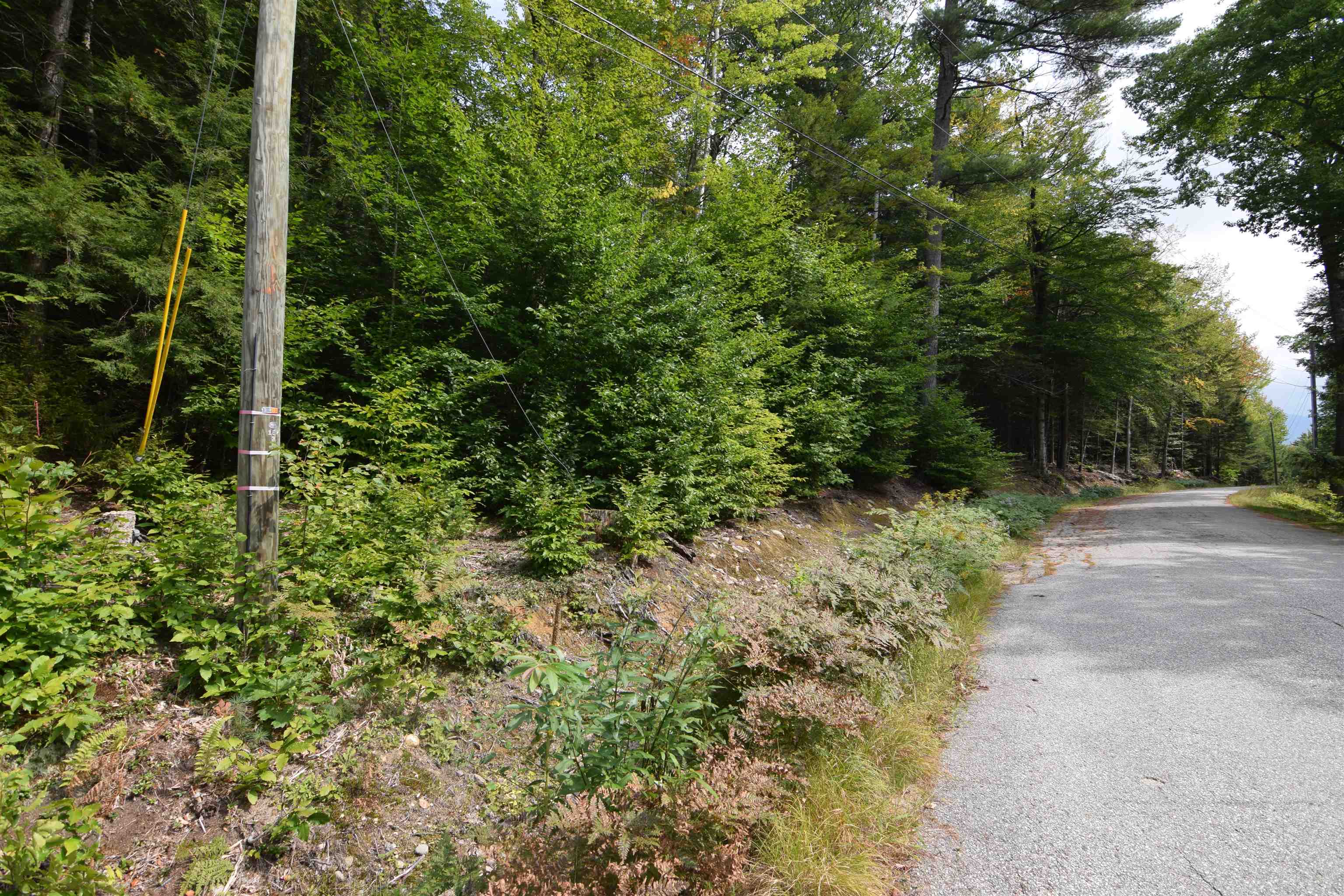 49-50 Treeline Road Thornton, NH 03285 - Photo 2 of 7