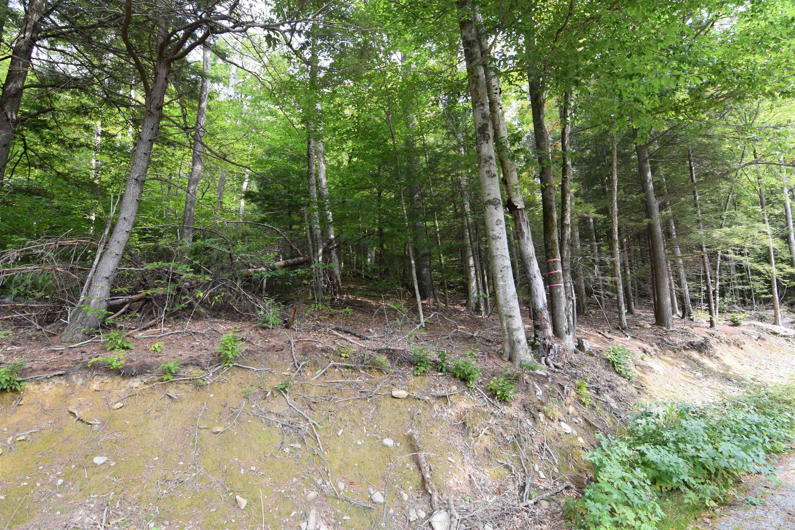49-50 Treeline Road Thornton, NH 03285 - Photo 3 of 7