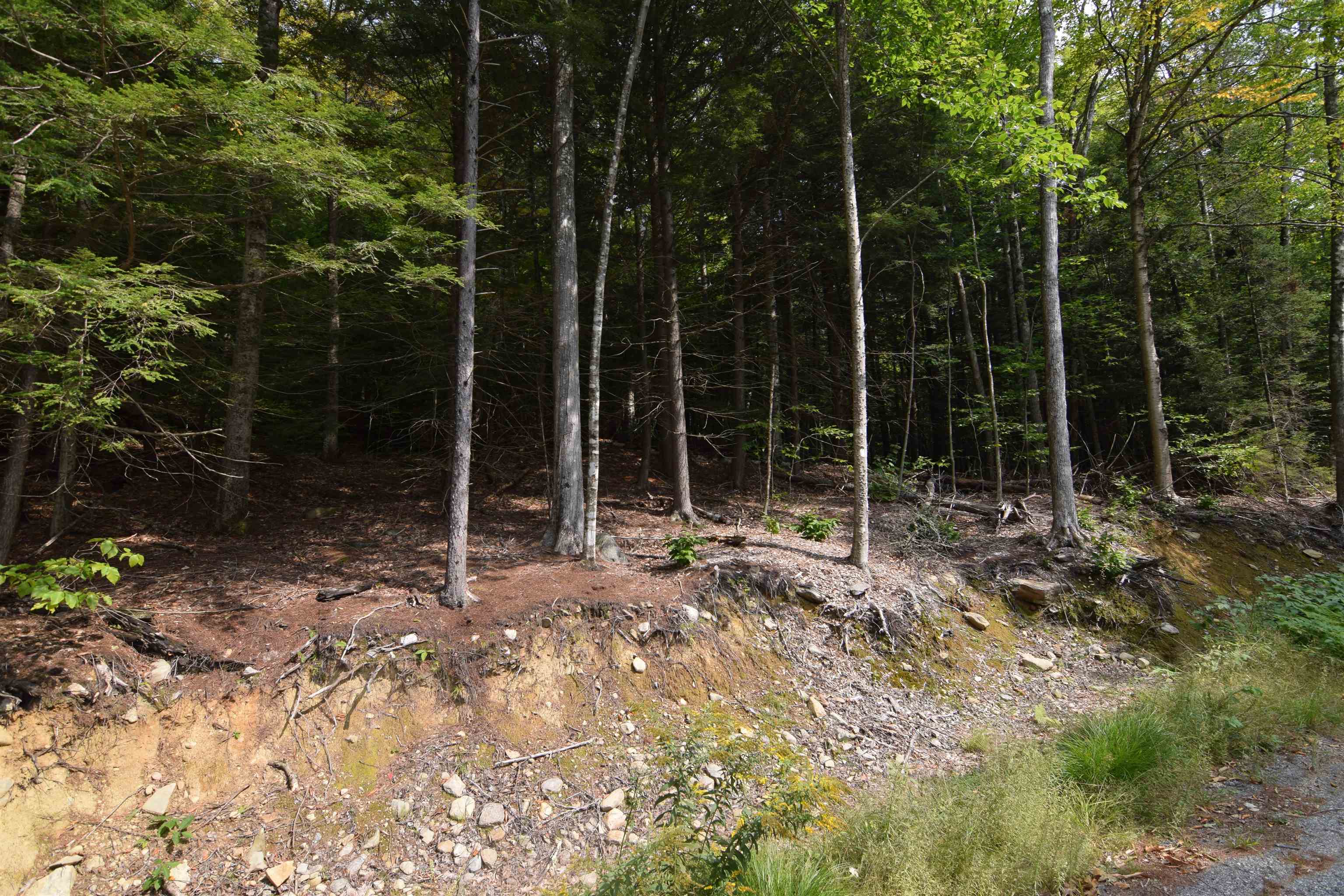 49-50 Treeline Road Thornton, NH 03285 - Photo 4 of 7