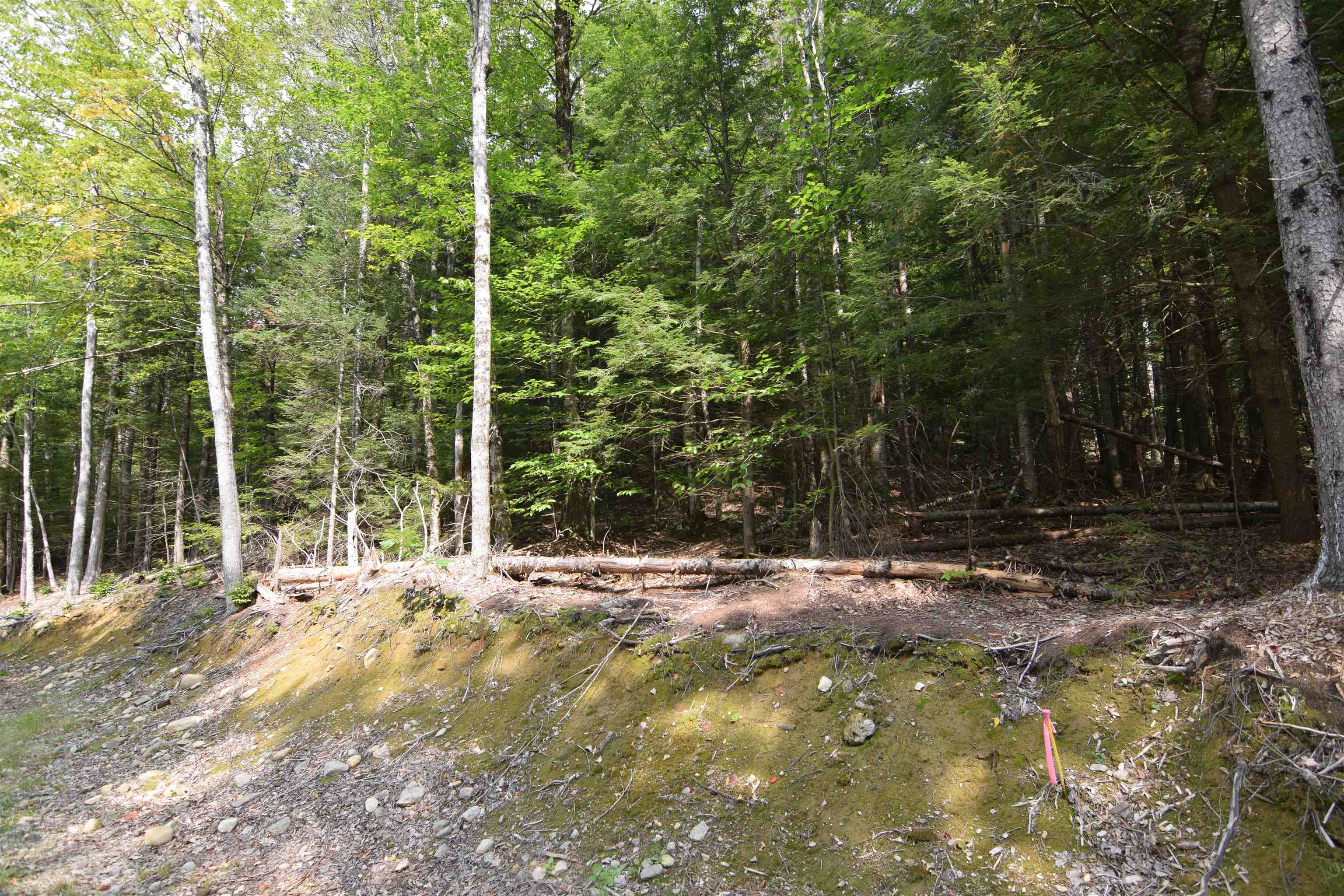 49-50 Treeline Road Thornton, NH 03285 - Photo 5 of 7
