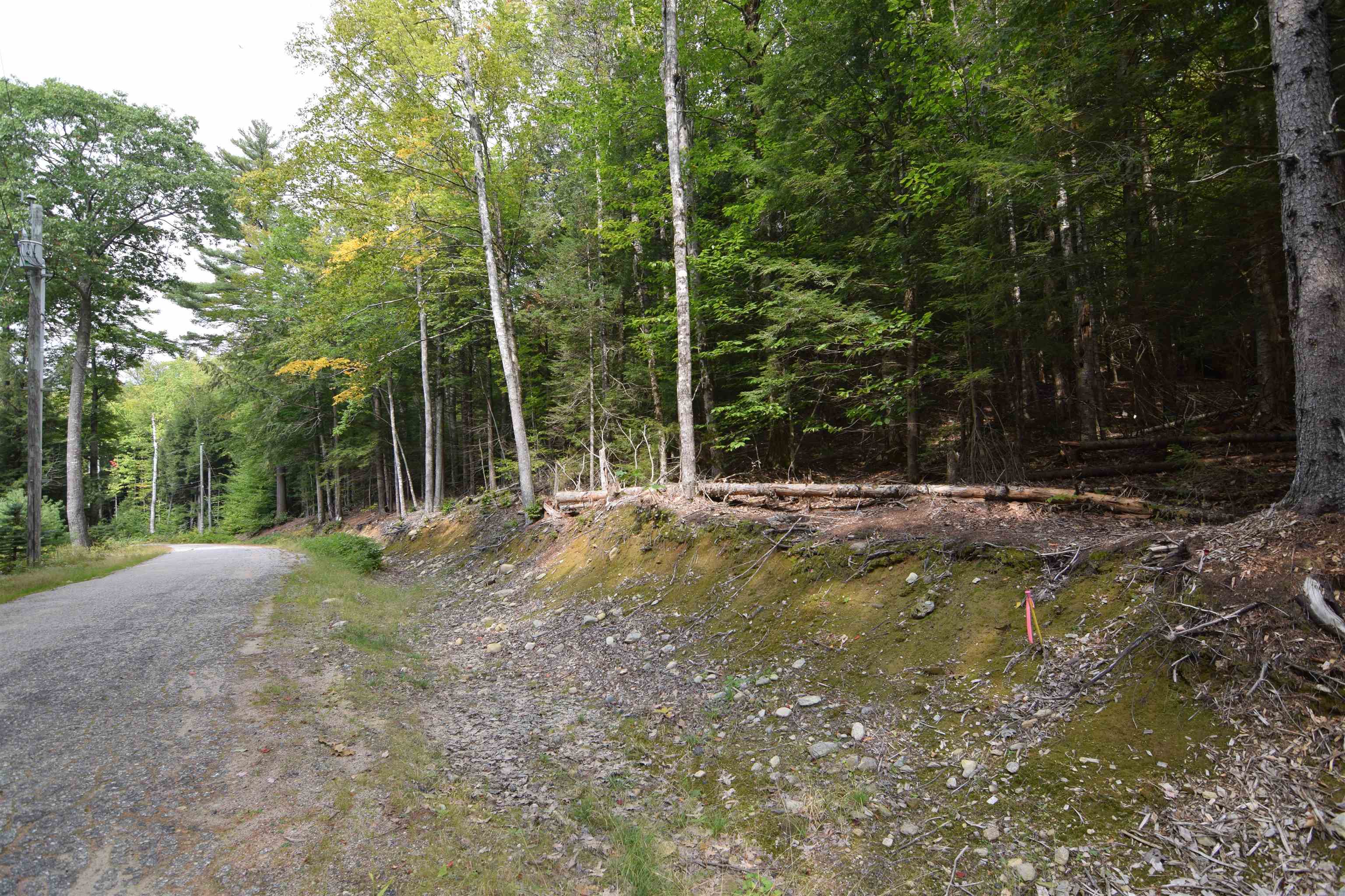 49-50 Treeline Road Thornton, NH 03285 - Photo 6 of 7