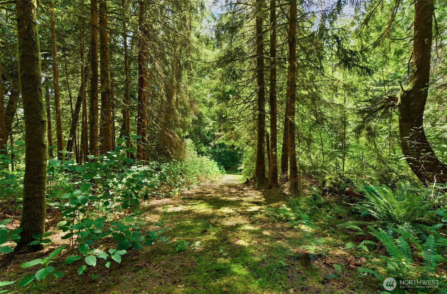 605 Southwest Lake Roesiger Road Snohomish, WA 98290 - Photo 9 of 27