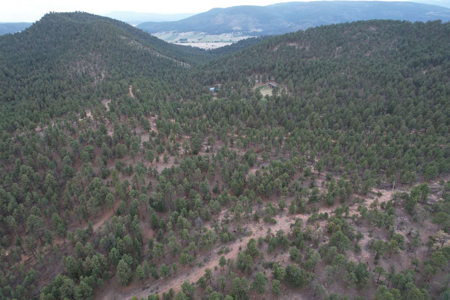 0 A015 County Road Mora, NM 87732 - Photo 6 of 40