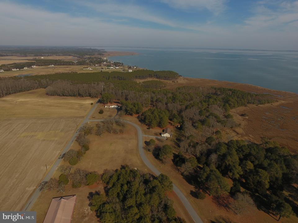 Tanhouse Road Snow Hill, MD 21863 - Photo 1 of 13 Gallery Image 1