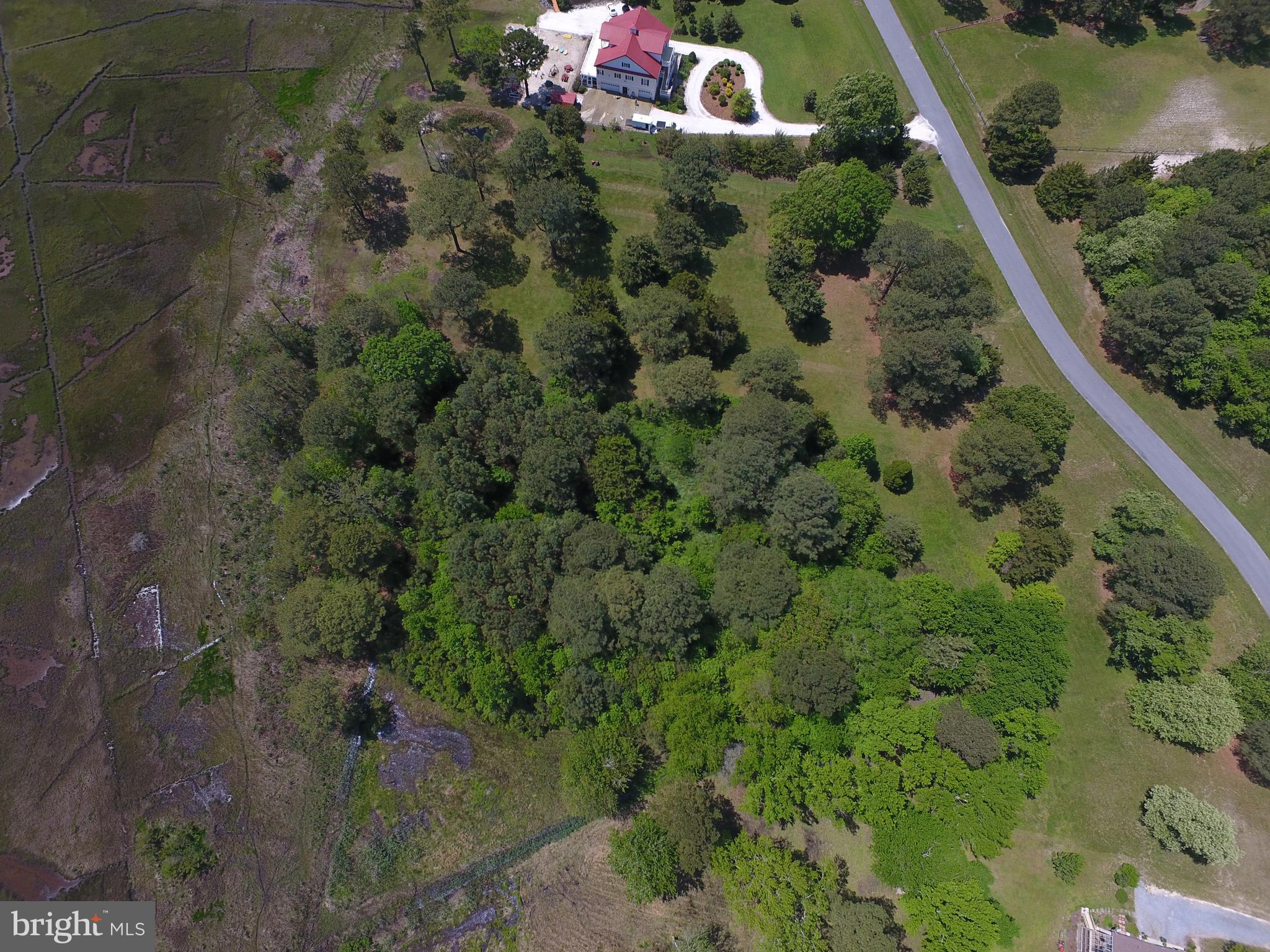 Tanhouse Road Snow Hill, MD 21863 - Photo 7 of 13 Gallery Image 7
