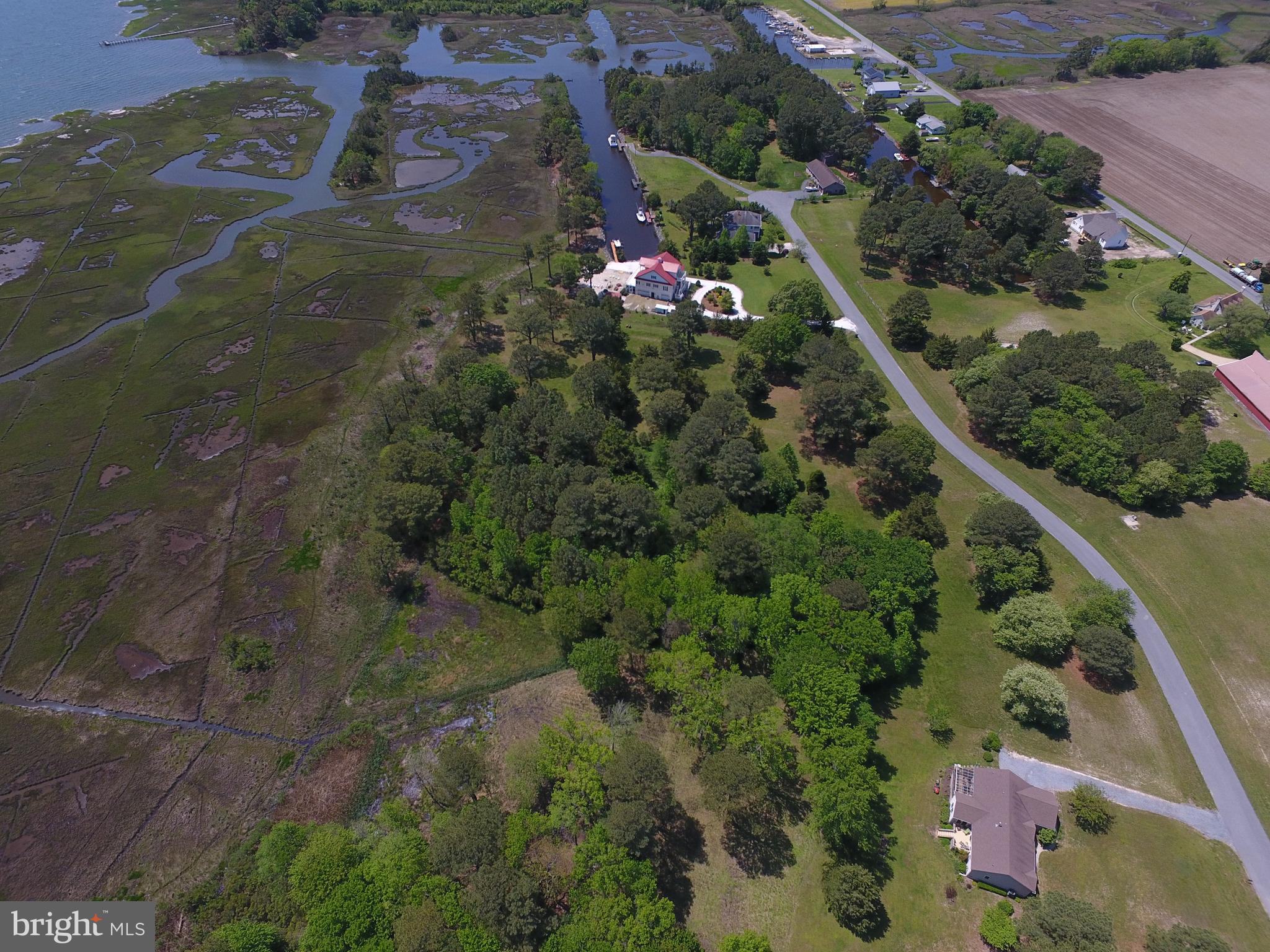Tanhouse Road Snow Hill, MD 21863 - Photo 8 of 13 Gallery Image 8