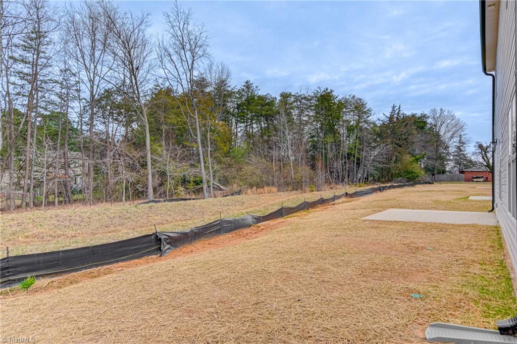 4721 Ridgefall Road Greensboro, NC 27410 - Photo 29 of 29
