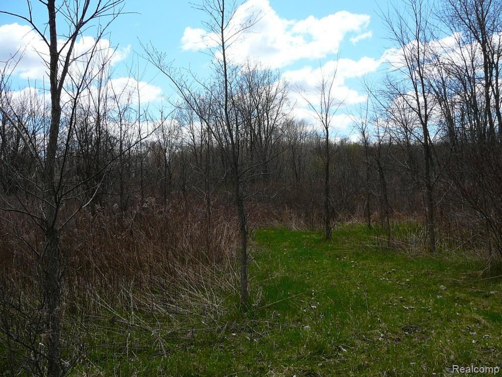 0 Brimley Road West Webberville, MI 48892 - Photo 36 of 36 2015-04-26 12.17
