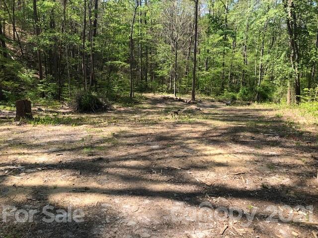 261 Nanneytown Road Union Mills, NC 28167 - Photo 3 of 9 Gallery Image 3