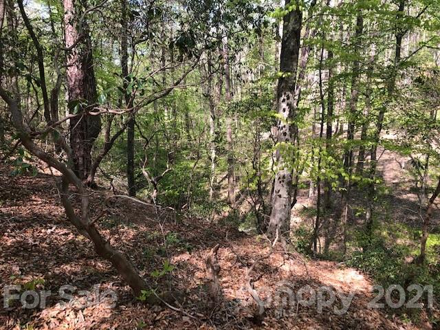 261 Nanneytown Road Union Mills, NC 28167 - Photo 6 of 9 Gallery Image 6