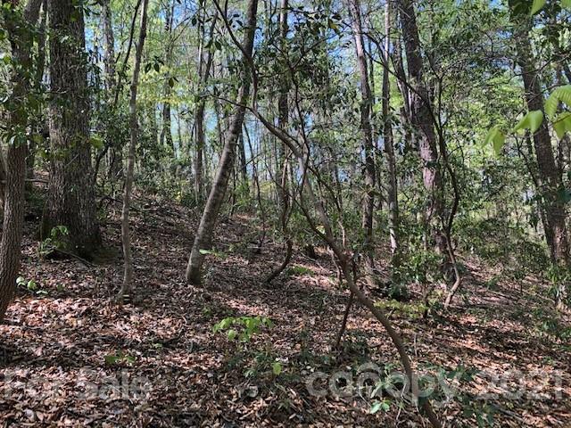 261 Nanneytown Road Union Mills, NC 28167 - Photo 7 of 9 Gallery Image 7