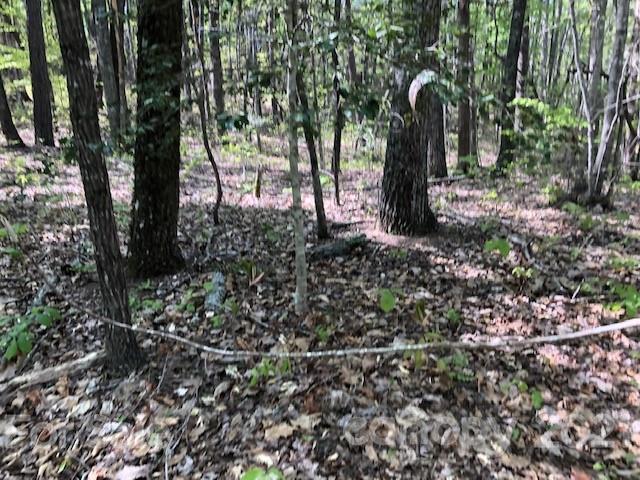 261 Nanneytown Road Union Mills, NC 28167 - Photo 8 of 9 Gallery Image 8