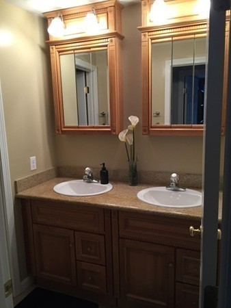 13 Pearlbush Path Worcester, MA 01607 - Photo 10 of 18