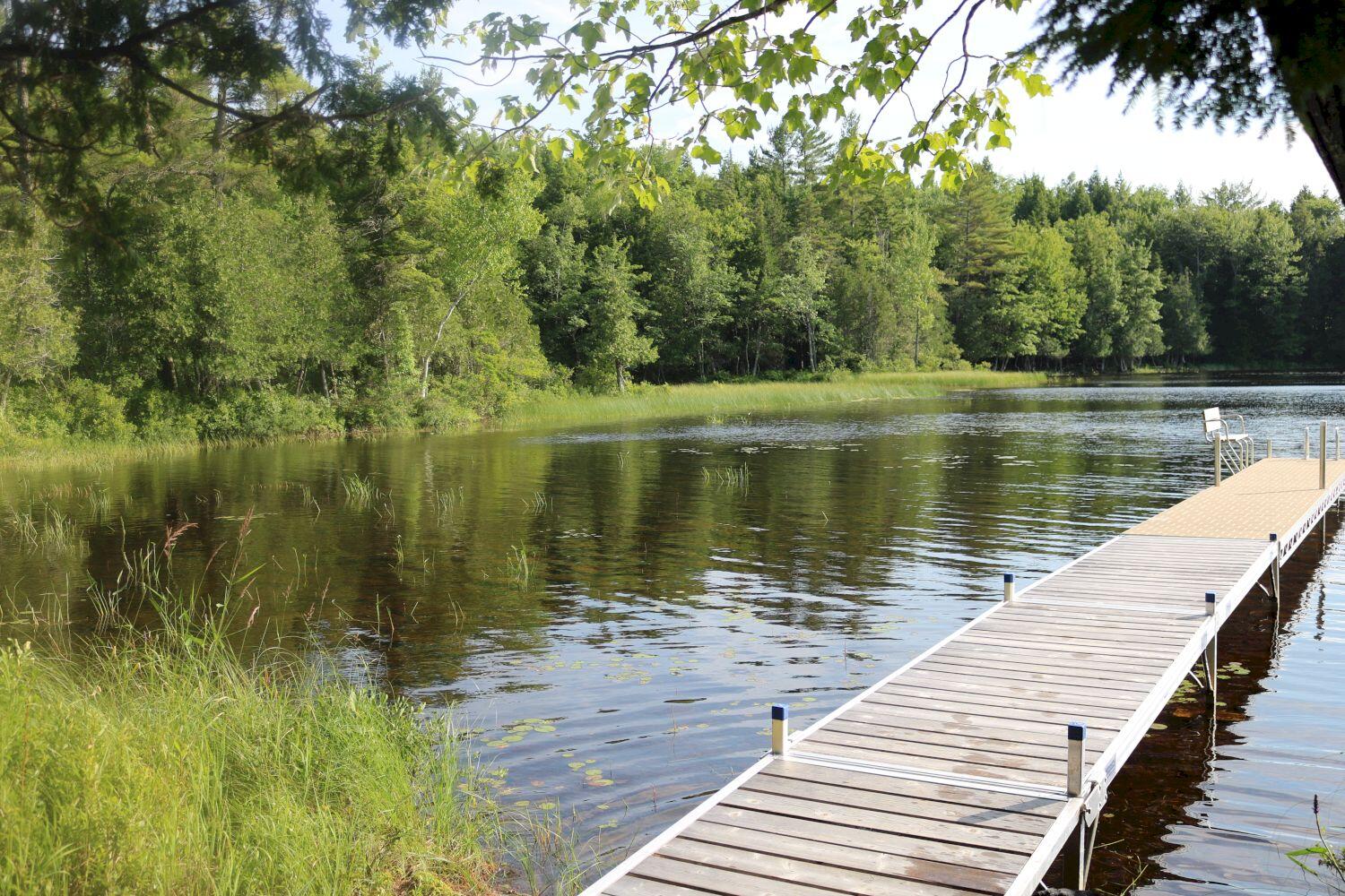 768 Fahi Pond Road Embden, ME 04958 - Photo 46 of 57 IMG_9186