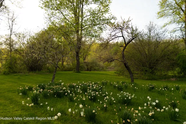 a view of a lake with mountains in the background