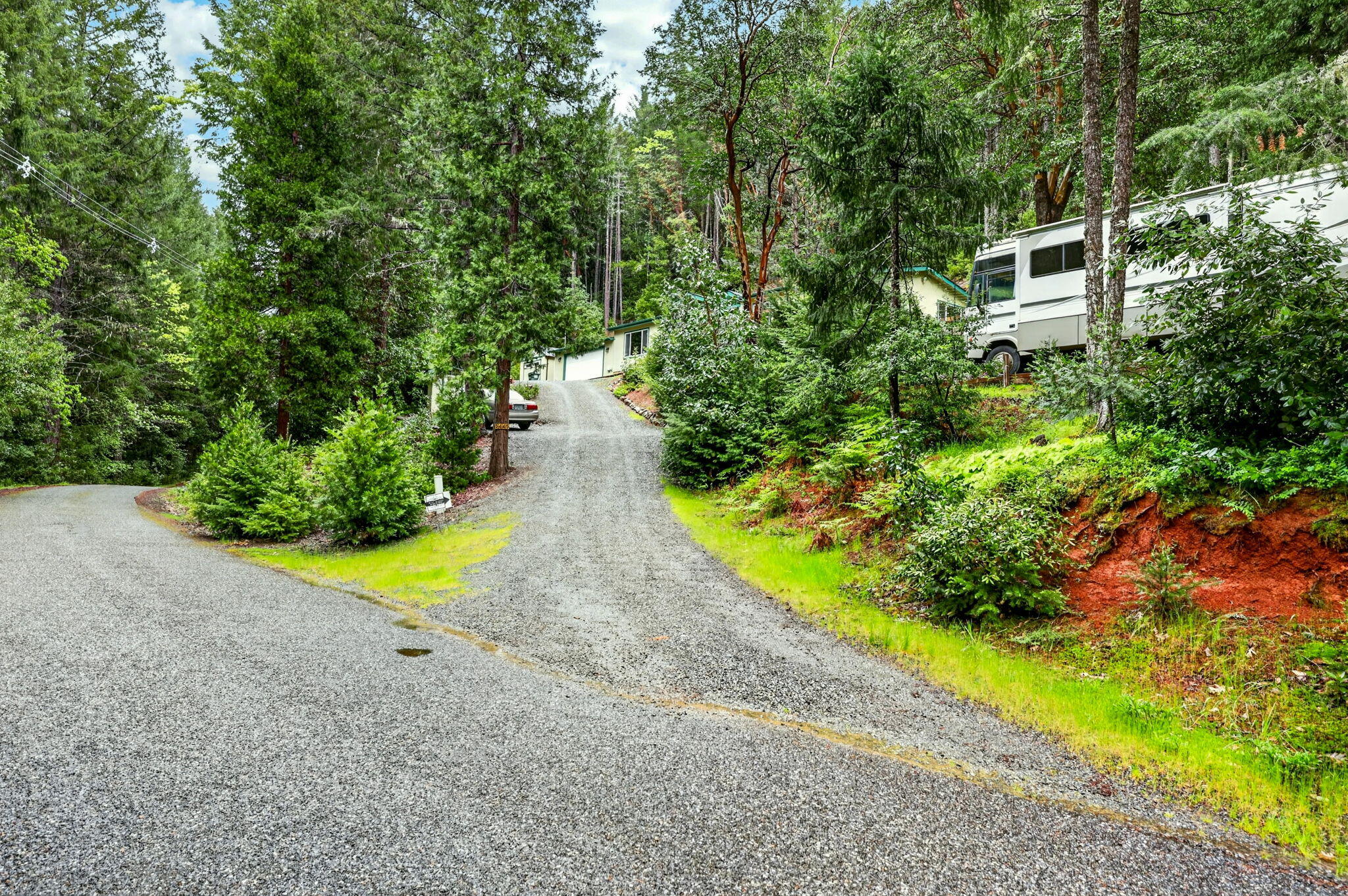 5445 Thompson Creek Road Selma, OR 97538 - Photo 4 of 57 a view of a garden with plants