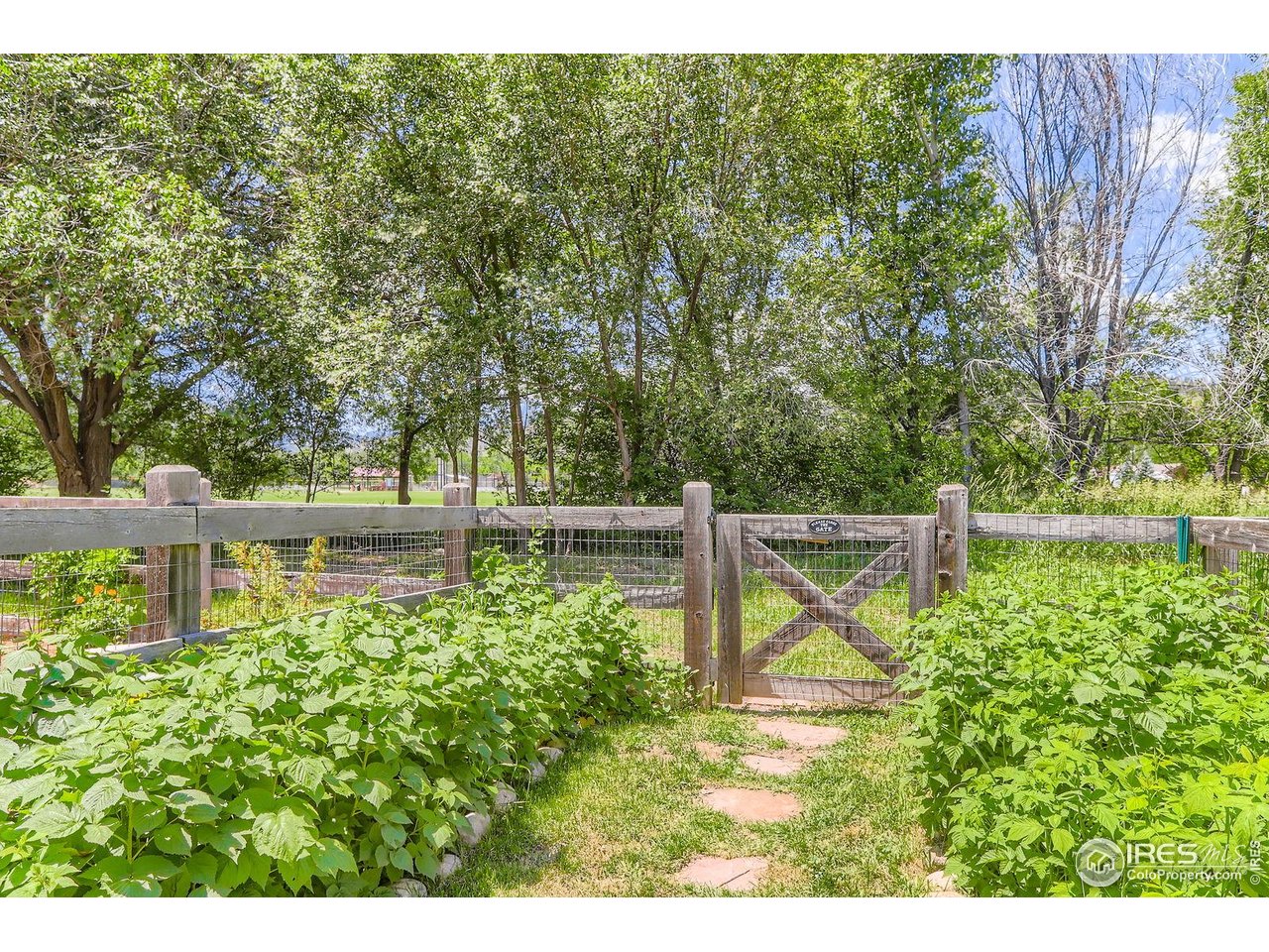 193 2nd Avenue, Unit A Lyons, CO 80540 - Photo 27 of 40 a view of an outdoor space and deck