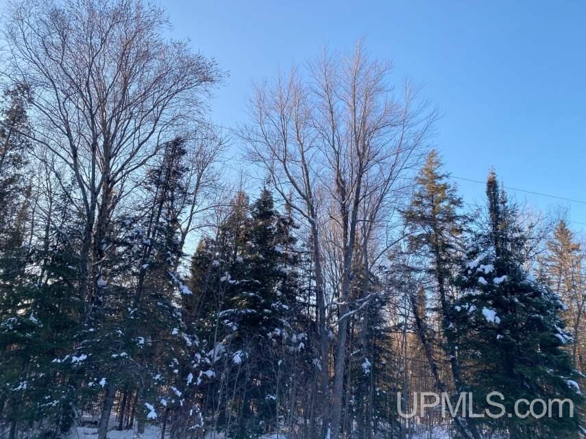 Tbd Off 850 Road Ontonagon, MI 49953 - Photo 1 of 3