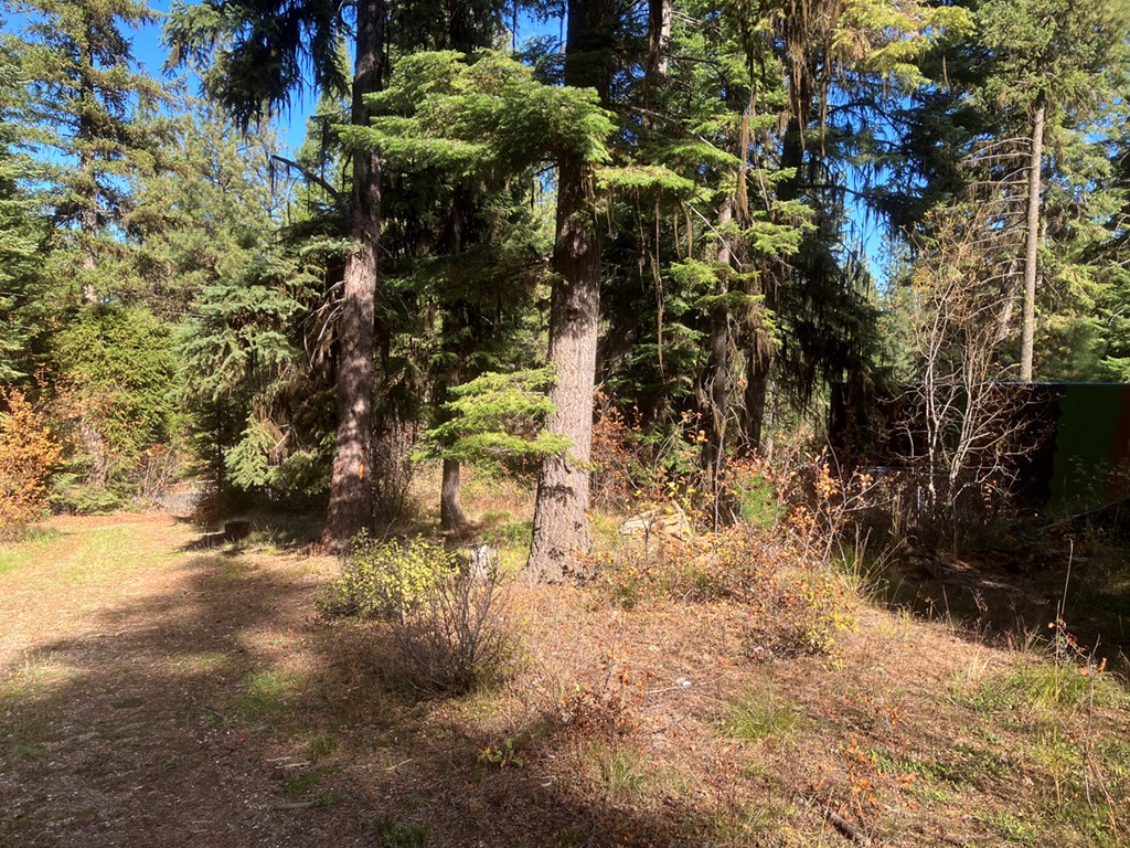 541 West Mountain Road, Unit 58 Cascade, ID 83611 - Photo 5 of 9 Good Turnaround Space