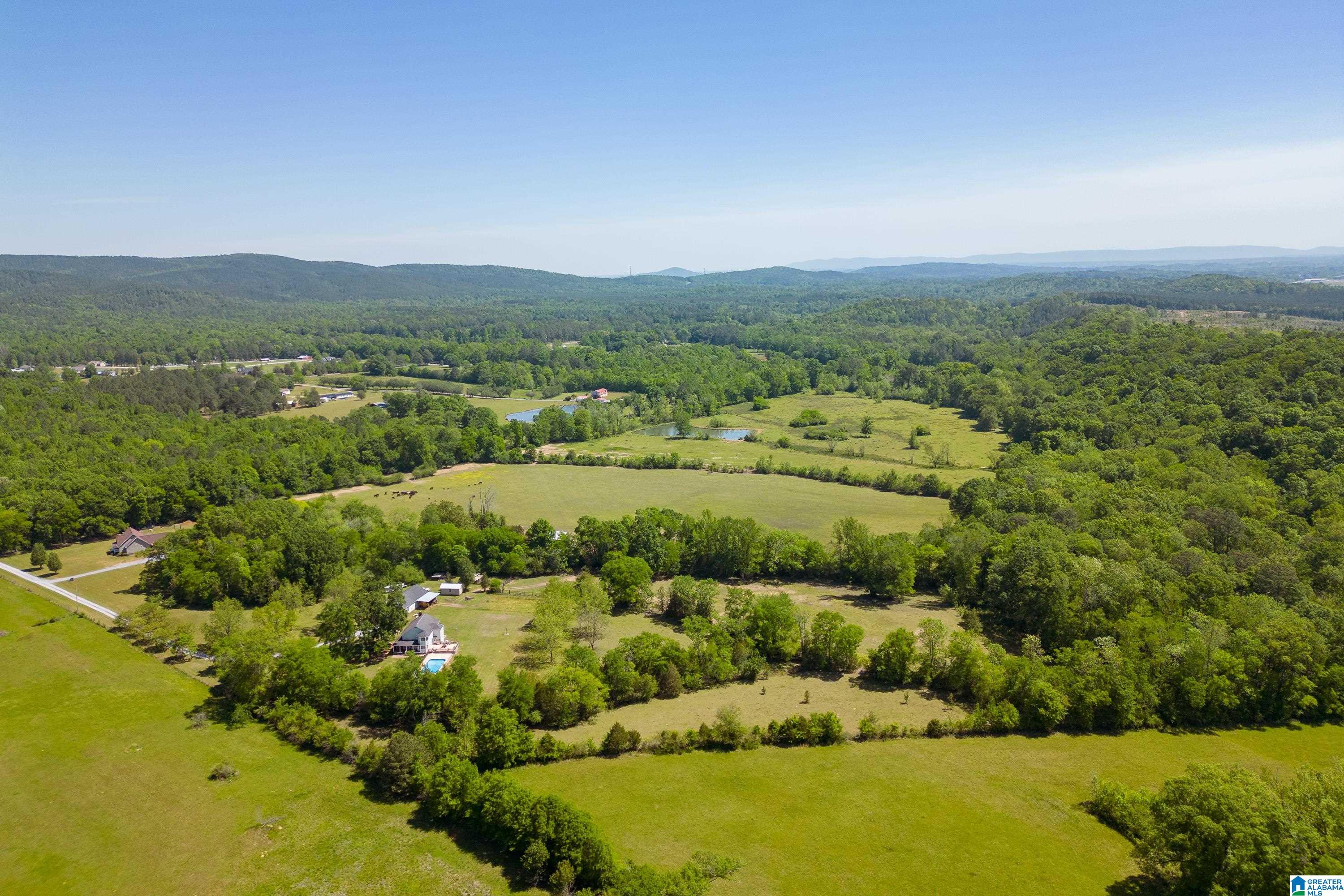 4493 Odens Mill Road Sylacauga, AL 35151 - Photo 8 of 62