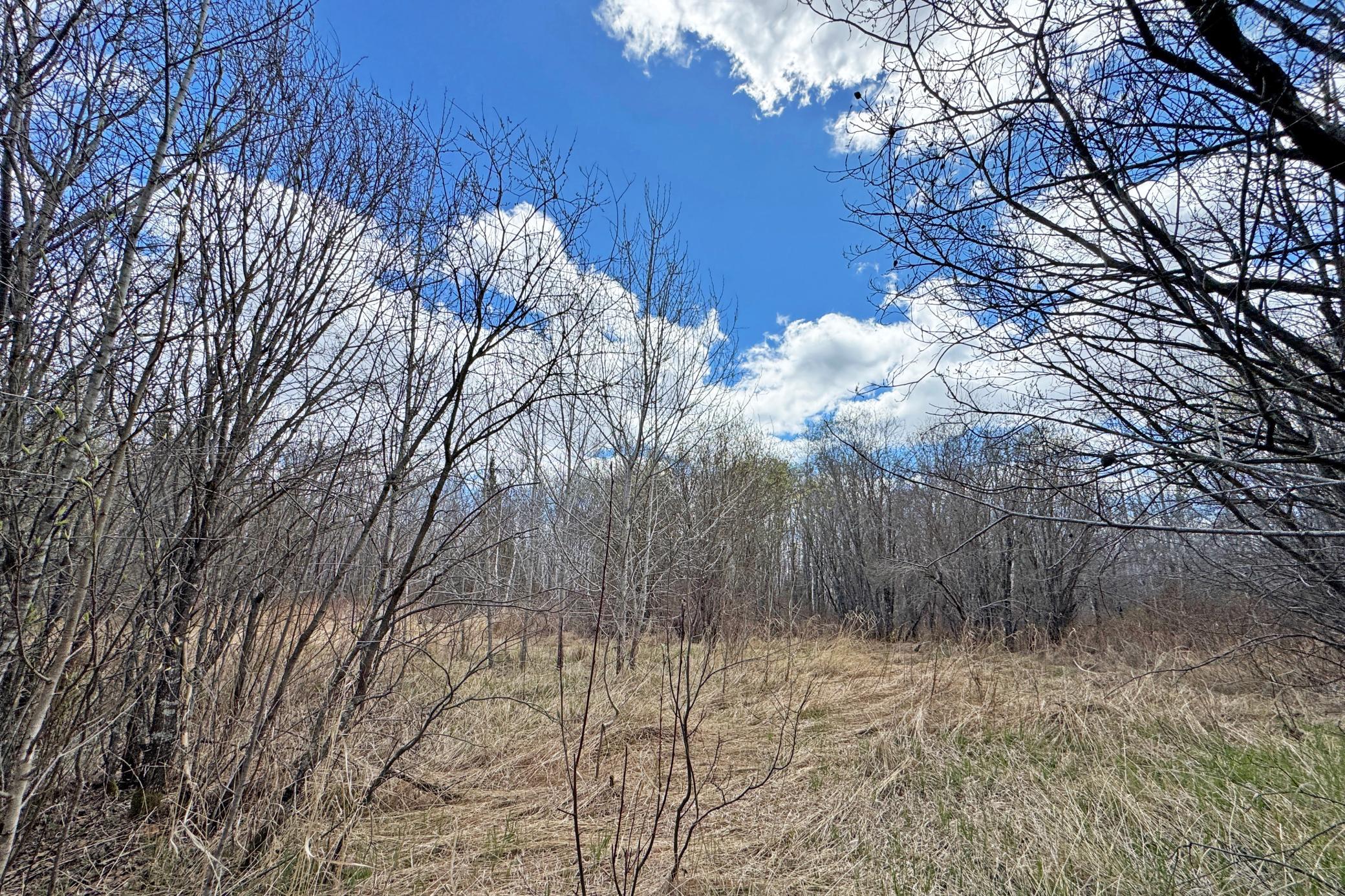 4268 Crane Lake Road Orr, MN 55771 - Photo 19 of 25