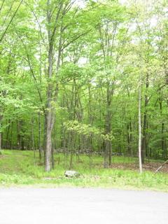 664 Raccoon Court Bushkill, PA 18324 - Photo 1 of 6 664 Racoon Ct.