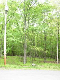 664 Raccoon Court Bushkill, PA 18324 - Photo 2 of 6 1