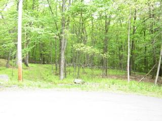 664 Raccoon Court Bushkill, PA 18324 - Photo 3 of 6 2