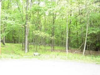 664 Raccoon Court Bushkill, PA 18324 - Photo 4 of 6 3