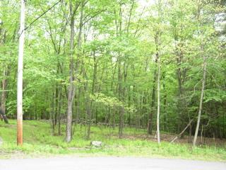 664 Raccoon Court Bushkill, PA 18324 - Photo 5 of 6 5
