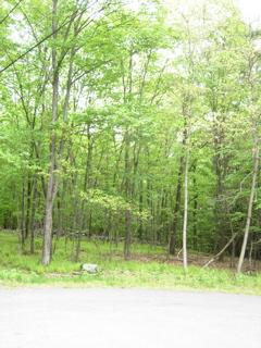 664 Raccoon Court Bushkill, PA 18324 - Photo 6 of 6 6