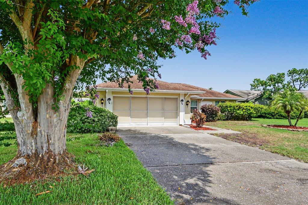 3723 Sarazen Drive New Port Richey, FL 34655 - Photo 4 of 65