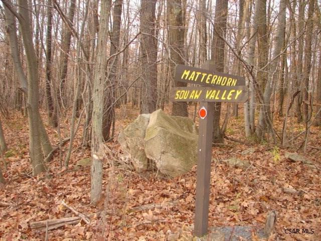 0 Matterhorn Road Boswell, PA 15531 - Photo 1 of 1 Gallery Image 1
