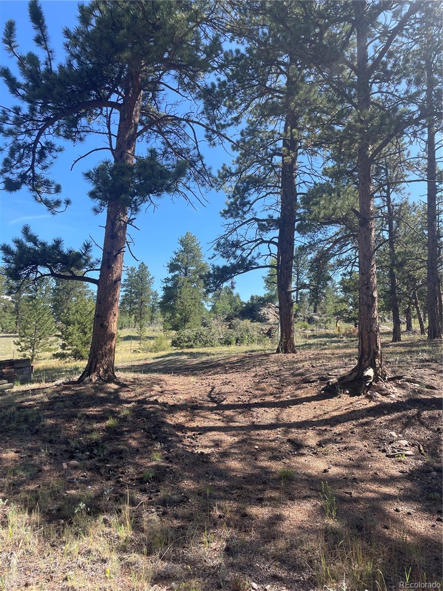 3943 Co Road Florissant, CO 80816 - Photo 29 of 37 Gallery Image 29