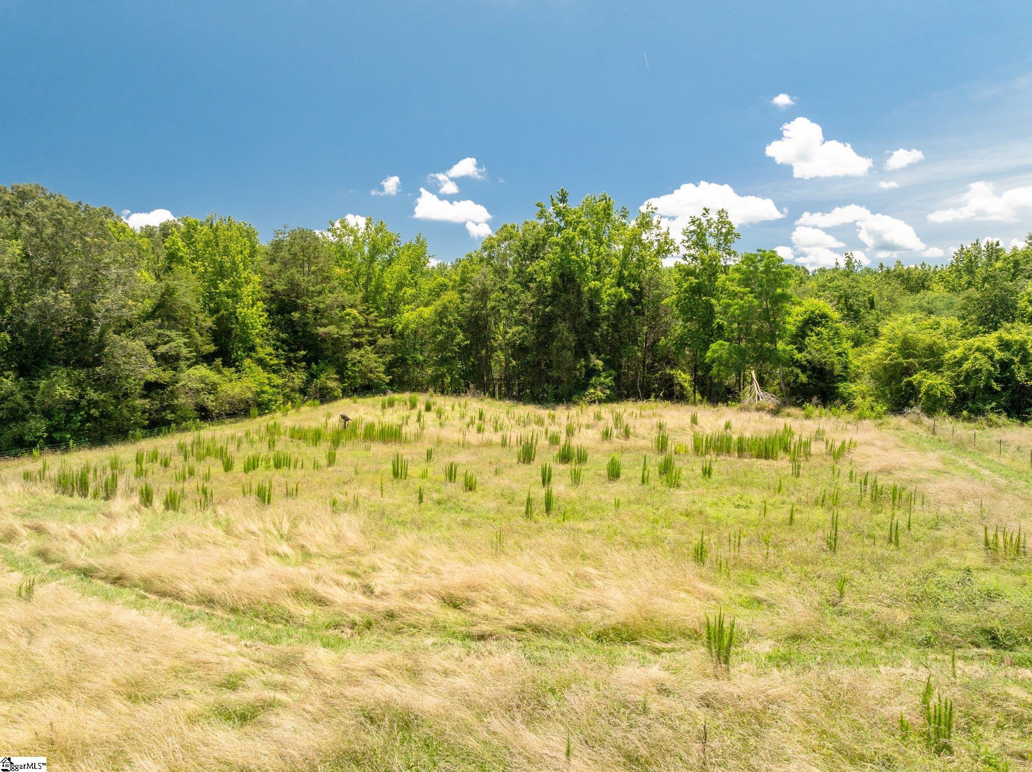 955 Bramlett Road Laurens, SC 29360 - Photo 36 of 47
