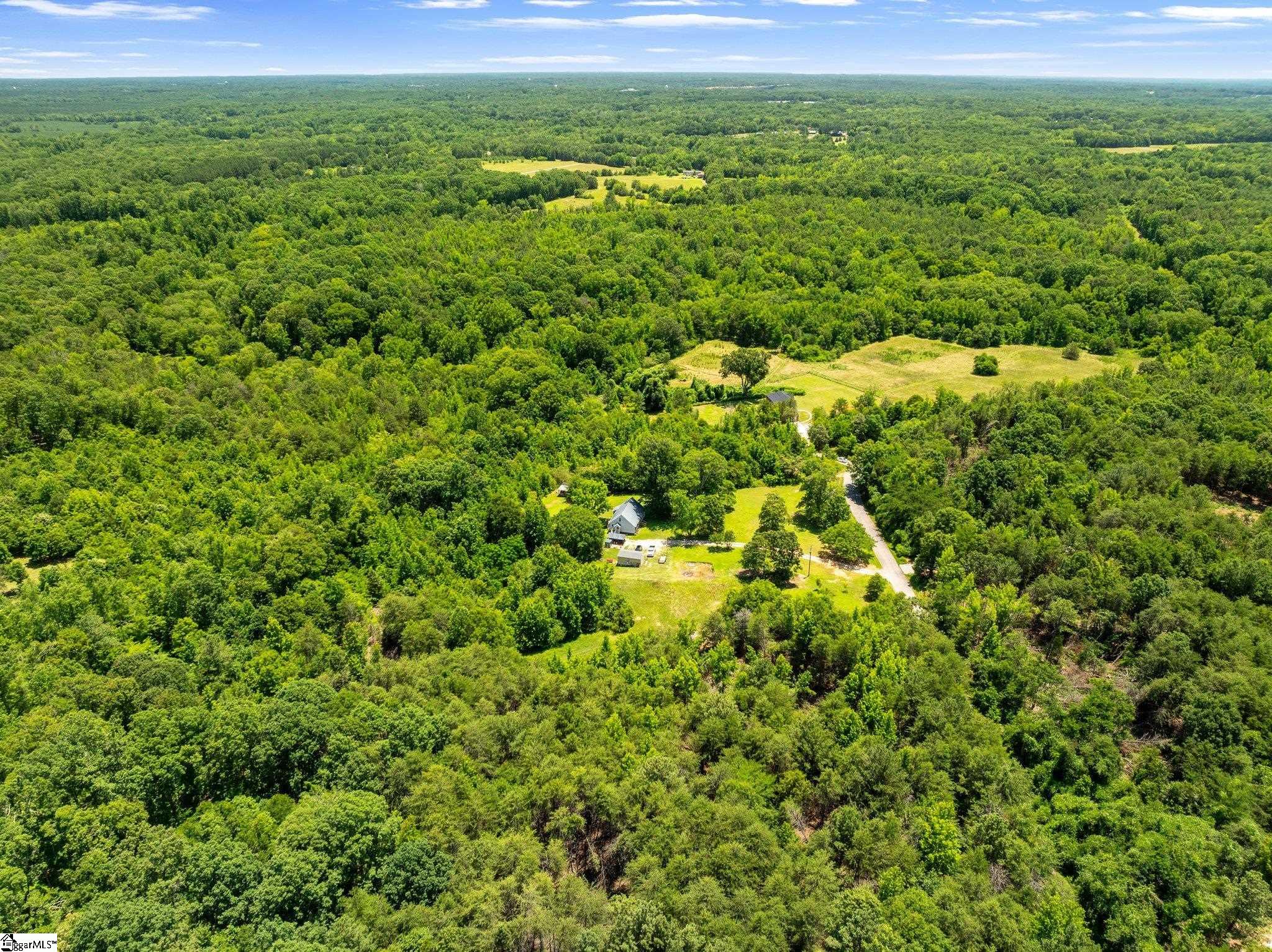 955 Bramlett Road Laurens, SC 29360 - Photo 40 of 47