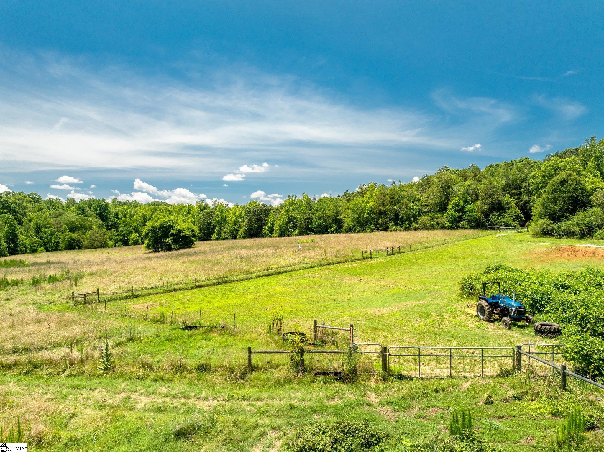 955 Bramlett Road Laurens, SC 29360 - Photo 5 of 47