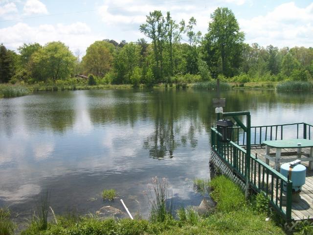179 Harris Road Tracy City, TN 37387 - Photo 14 of 20 Gallery Image 14