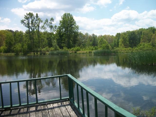 179 Harris Road Tracy City, TN 37387 - Photo 15 of 20 Gallery Image 15