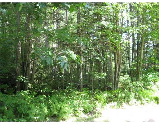 0 River Valley Acres Road Bethel, ME 04217 - Photo 1 of 2 Land/Lot.