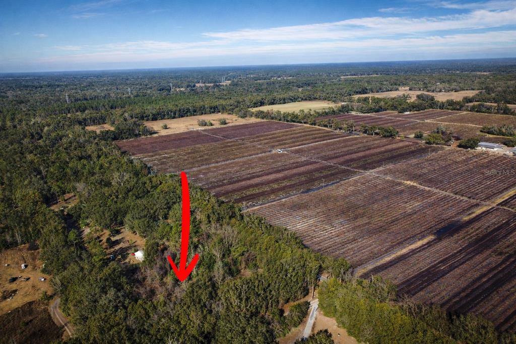 Tbd Southwest 121st Avenue Gainesville, FL 32607 - Photo 5 of 7