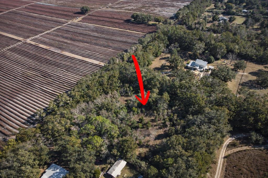 Tbd Southwest 121st Avenue Gainesville, FL 32607 - Photo 6 of 7