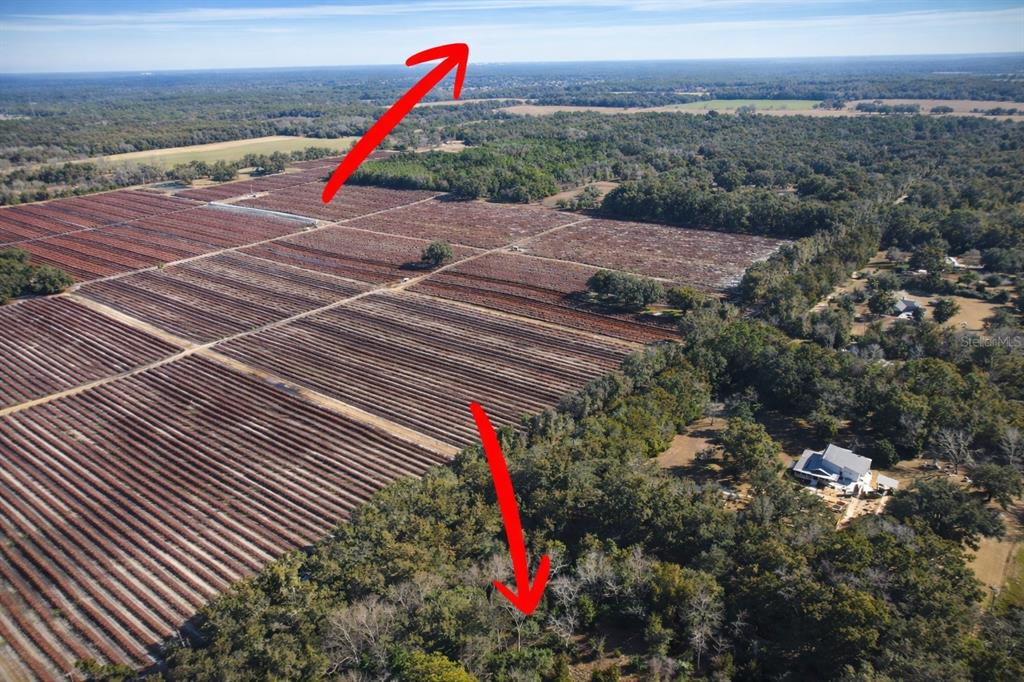 Tbd Southwest 121st Avenue Gainesville, FL 32607 - Photo 7 of 7